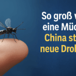 Mini-Drohne in Form einer Mücke sitzt auf einer Fingerspitze. Rechts im Bild der Text: ‚So groß wie eine Mücke: China stellt neue Drohne vor‘