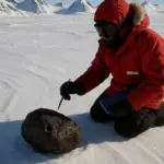 Meteoritenfund in Antarktis liefert Hinweise auf irdischen Ursprung von Wasser