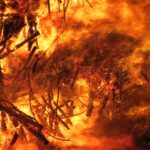 Einsatzkräfte bekämpfen das Feuer in der Gohrischheide bei Zeithain