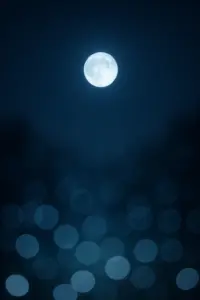 Nasa Mond Atomreaktor Energie Artemis Sean Duffy Russland China Raumfahrt