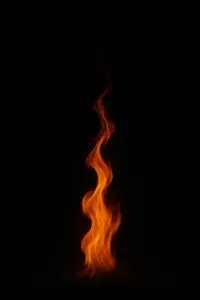 Feuerwehr im Einsatz bei einem Brand in Görlitz